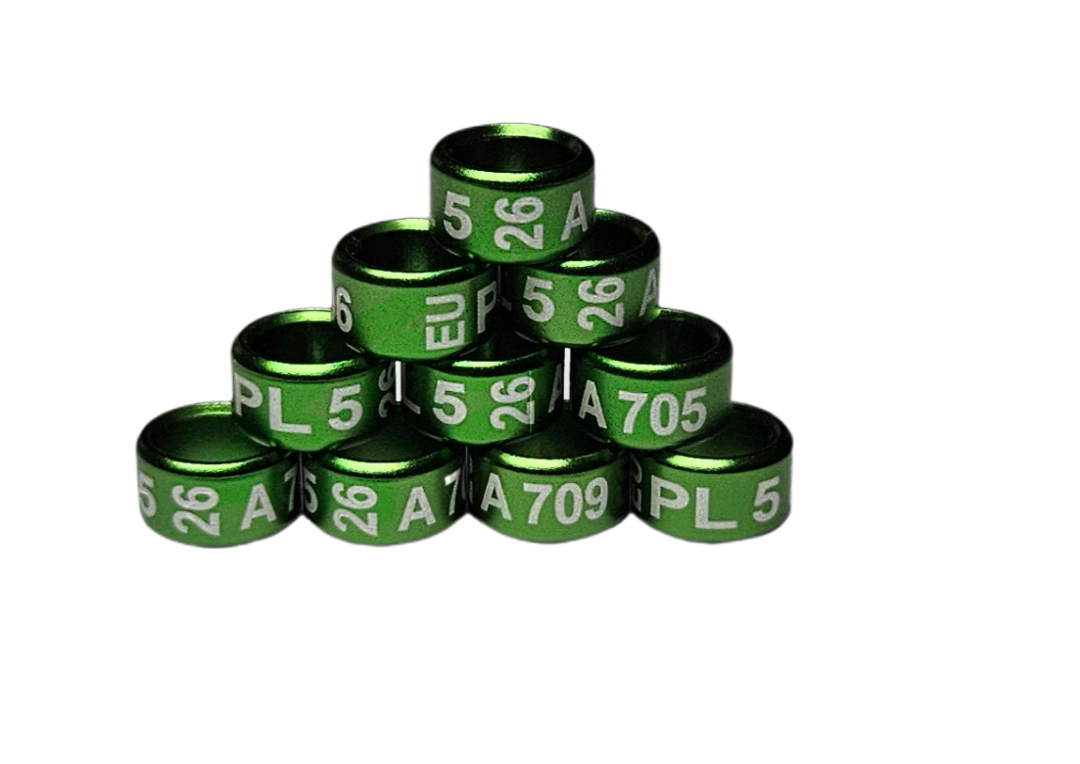 Obrączki na ptaki egzotyczne