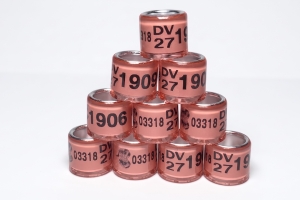 Obrączki na gołębie pocztowe 8mm DV 2027 r. 10 szt.