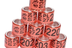 Obrączki na gołębie pocztowe 8 mm PL 2027 r. 10 szt.