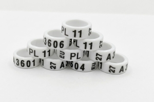 Obrączki unijne 11 mm - 2027 - 10szt EU