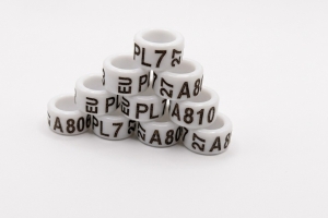 Obrączki unijne 7 mm - 2027 - 10szt EU