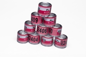 Obrączki na gołębie pocztowe, 8 mm PL 2027 r. z flagą 10 szt.